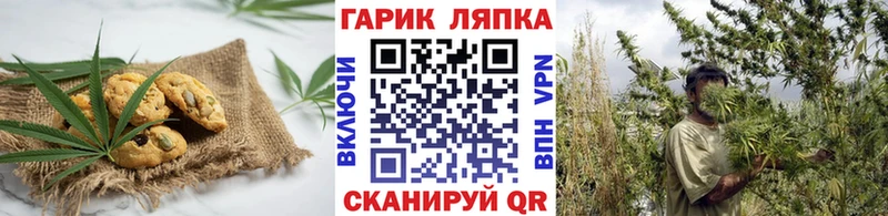 мега   Кемь  Cannafood марихуана  как найти закладки 