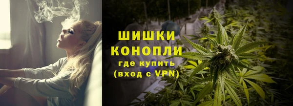 ECSTASY Богородицк