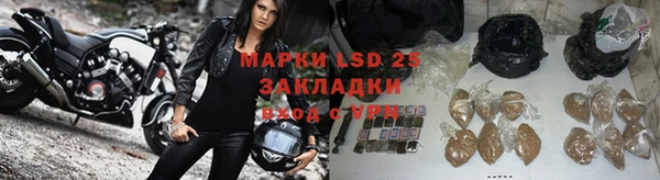 гашик Бородино