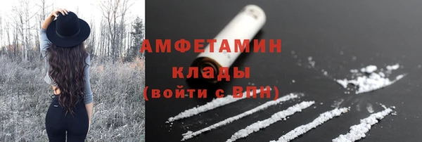 гашик Бородино
