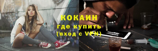 дживик Бронницы