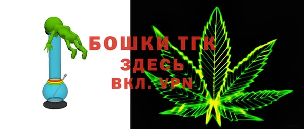 ECSTASY Богородицк