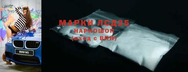 ECSTASY Богородицк