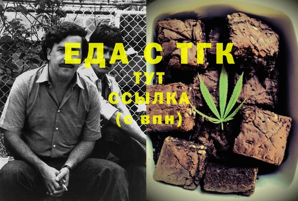 гашик Бородино