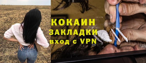 тгк Богданович